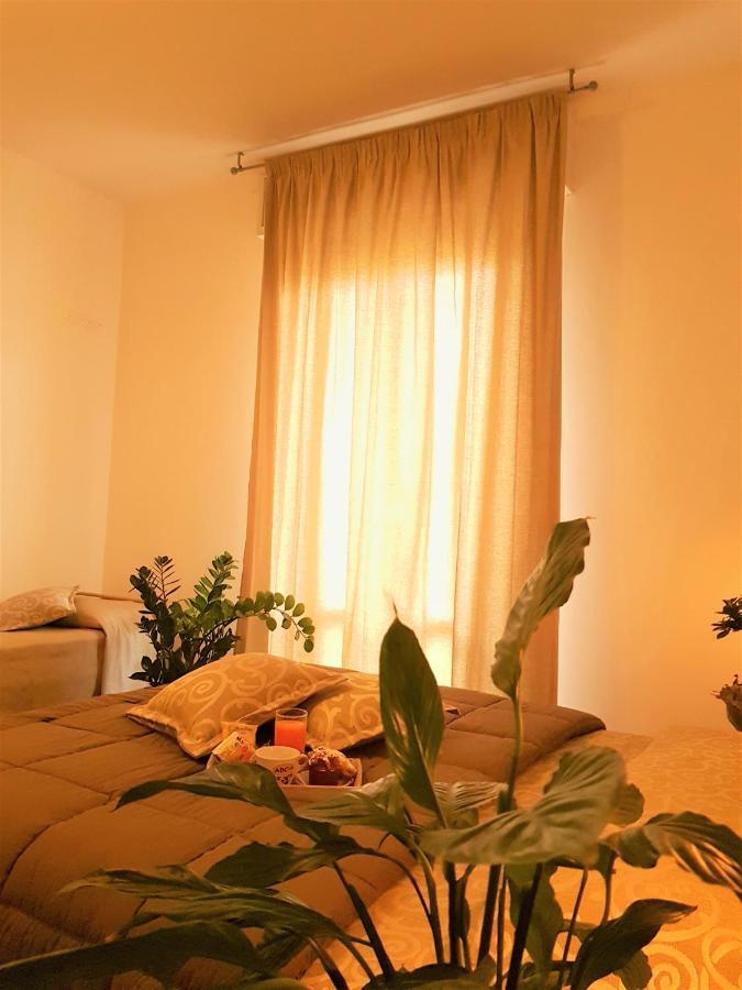 Hotel Romantica 里米尼 外观 照片